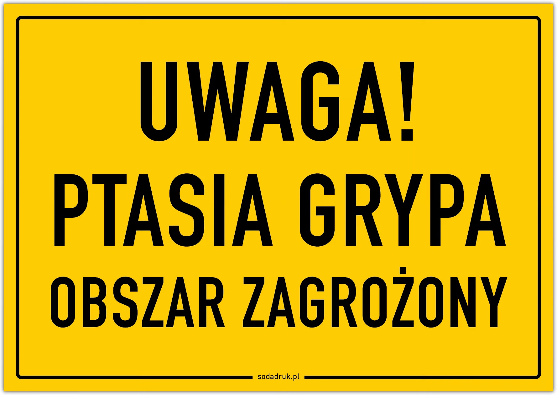 Grypa Ptaków w Regionie – Obowiązkowe Środki Ostrożności dla Hodowców