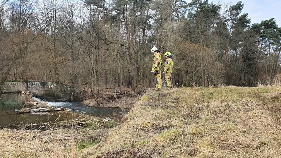 Intensywne poszukiwania zaginionej osoby w rejonie Złotoryi