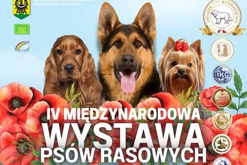 Zaproszenie na IV Międzynarodową Wystawę Psów Rasowych w Złotoryi