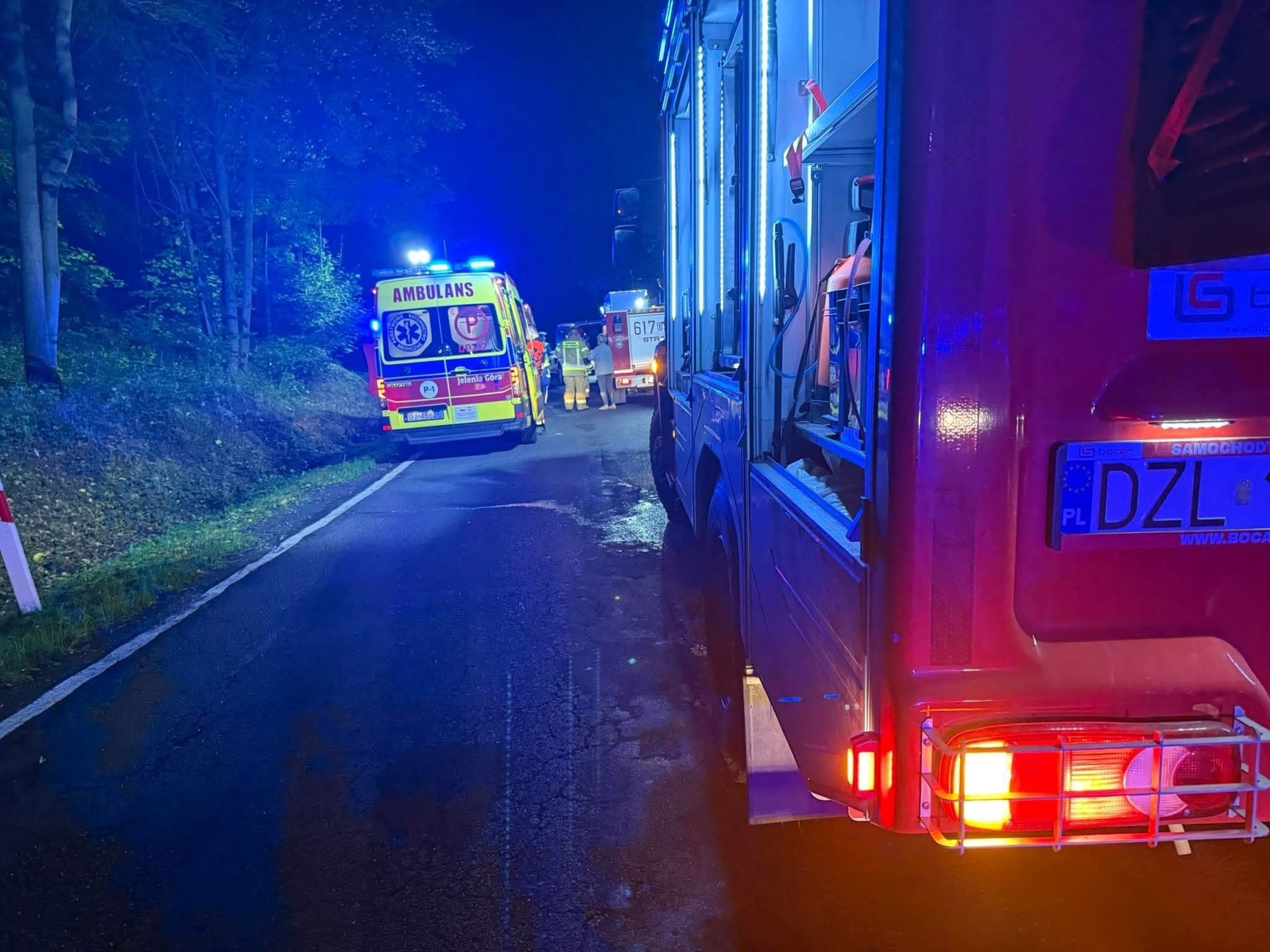 Śmiertelny wypadek na trasie Świerzawa – Wojcieszów.