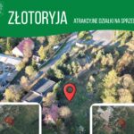 Ziemia w Złotoryi – jak złoto!