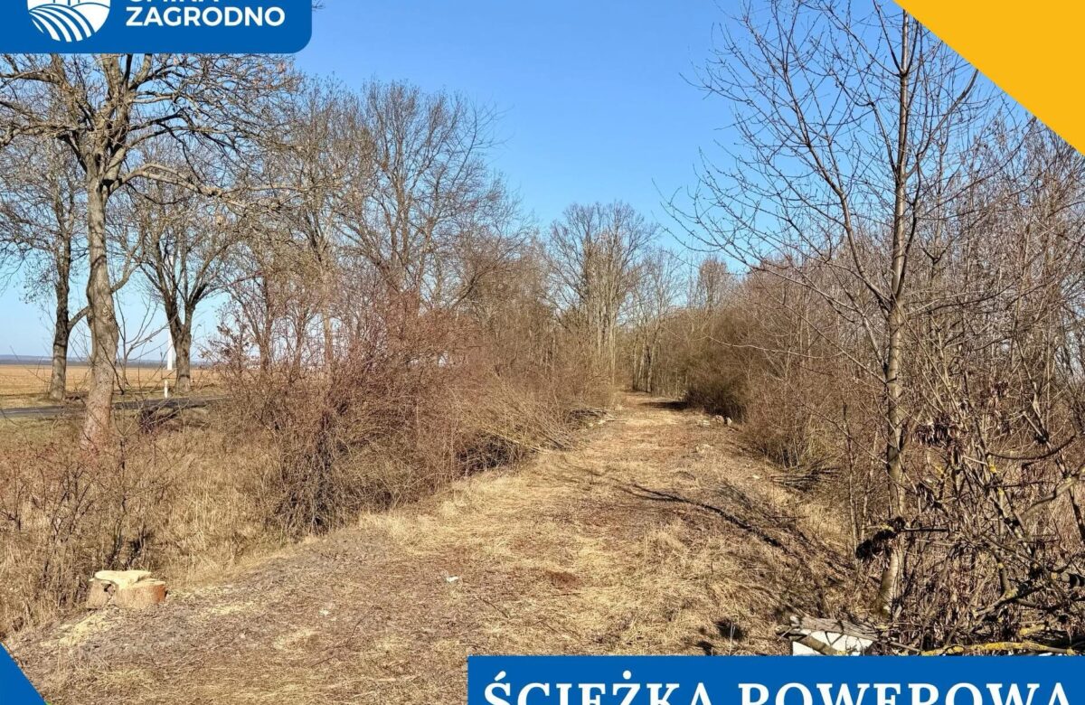 Wycinka drzew otworzyła drogę do budowy ścieżki w Zagrodnie