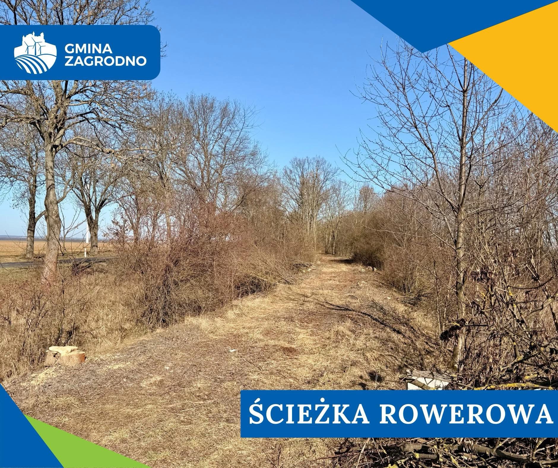 Wycinka drzew otworzyła drogę do budowy ścieżki w Zagrodnie