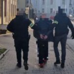 Kryminalni odzyskali skradzionego Citroena. 20-latek usłyszał zarzuty