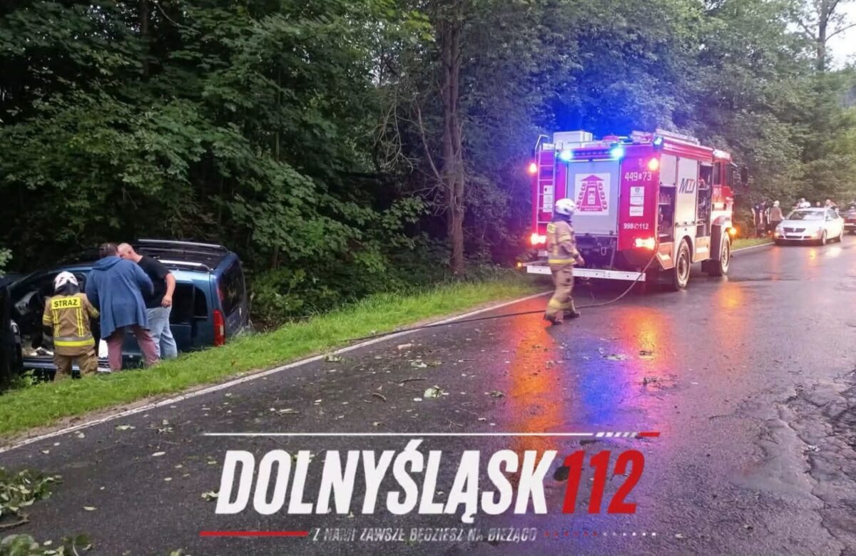Pijana kierująca uderzyła w drzewo. Wypadek między Kaczorowem a Wojcieszowem