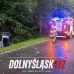 Pijana kierująca uderzyła w drzewo. Wypadek między Kaczorowem a Wojcieszowem