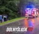Pijana kierująca uderzyła w drzewo. Wypadek między Kaczorowem a Wojcieszowem