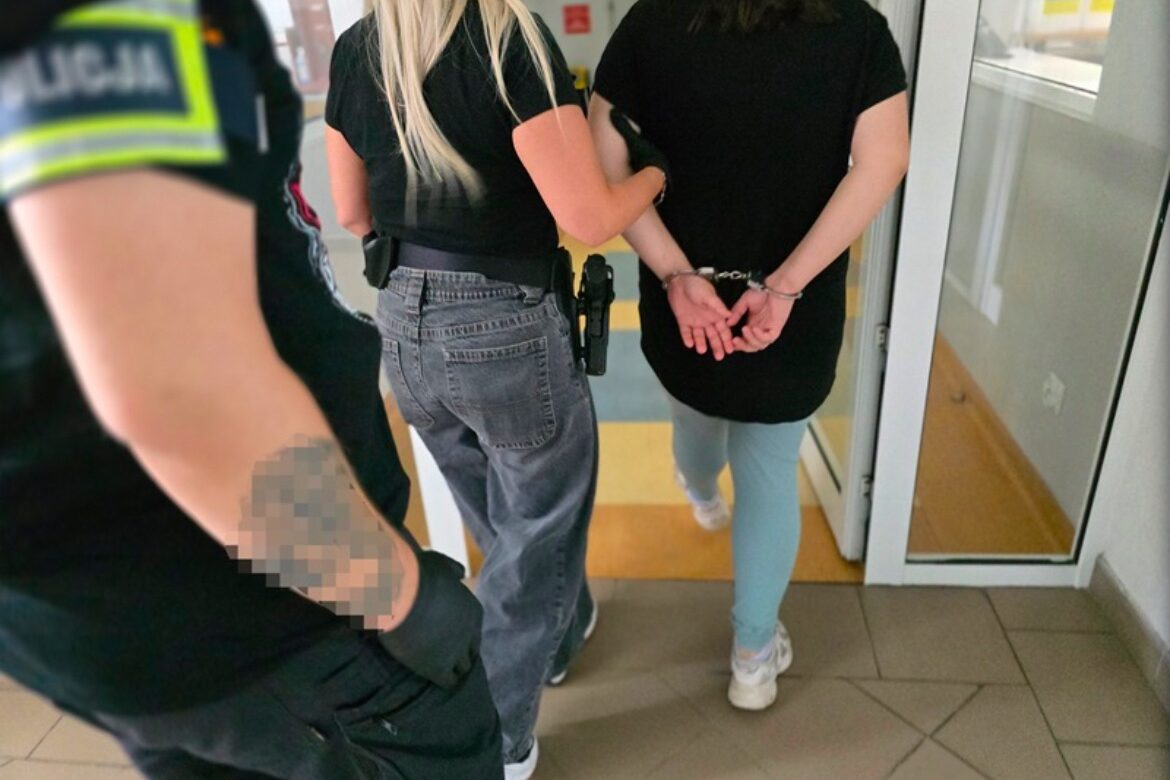 Włamała się do zbiórki dla potrzebujących i przelała pieniądze na swoje konto. Kryminalni namierzyli 26-latkę