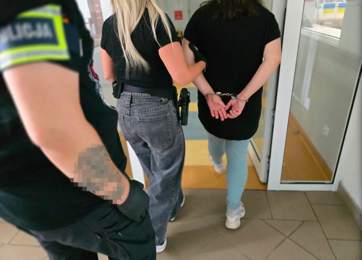 Włamała się do zbiórki dla potrzebujących i przelała pieniądze na swoje konto. Kryminalni namierzyli 26-latkę