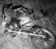 Nie zatrzymał się do kontroli. Uciekał motocyklem, a potem pieszo. Powód szybko wyszedł na jaw