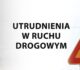 Utrudnienia na drodze w Czaplach