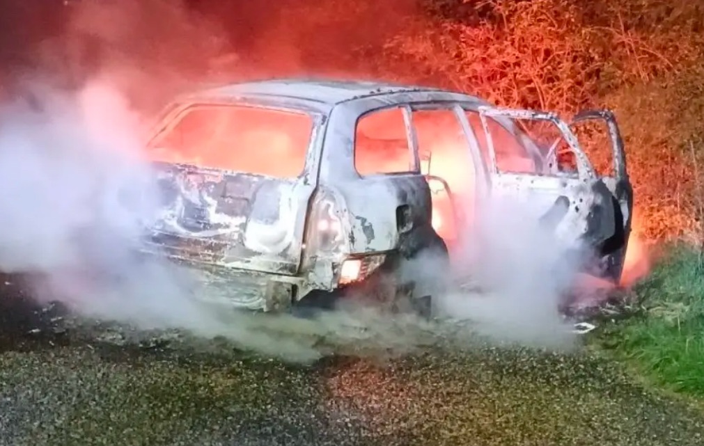 Pożar samochodu w Jadwisinie. Interweniowali strażacy